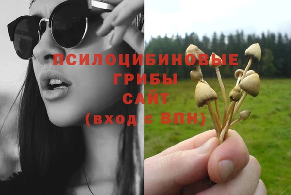ГАЛЛЮЦИНОГЕННЫЕ ГРИБЫ Балабаново