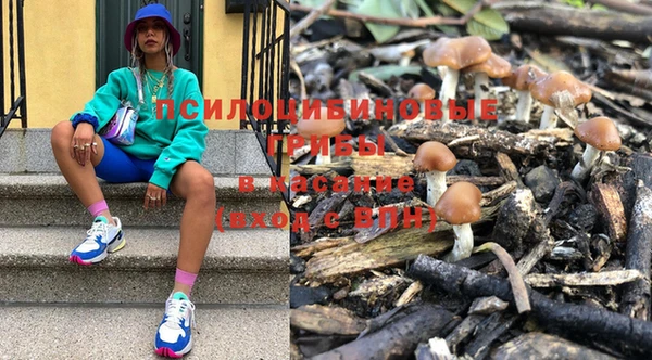 стафф Аркадак