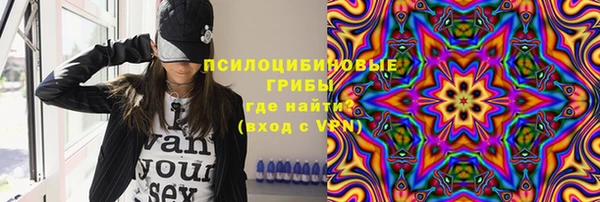 стафф Аркадак